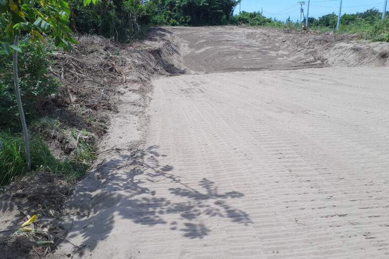 搬入路と現場の造成