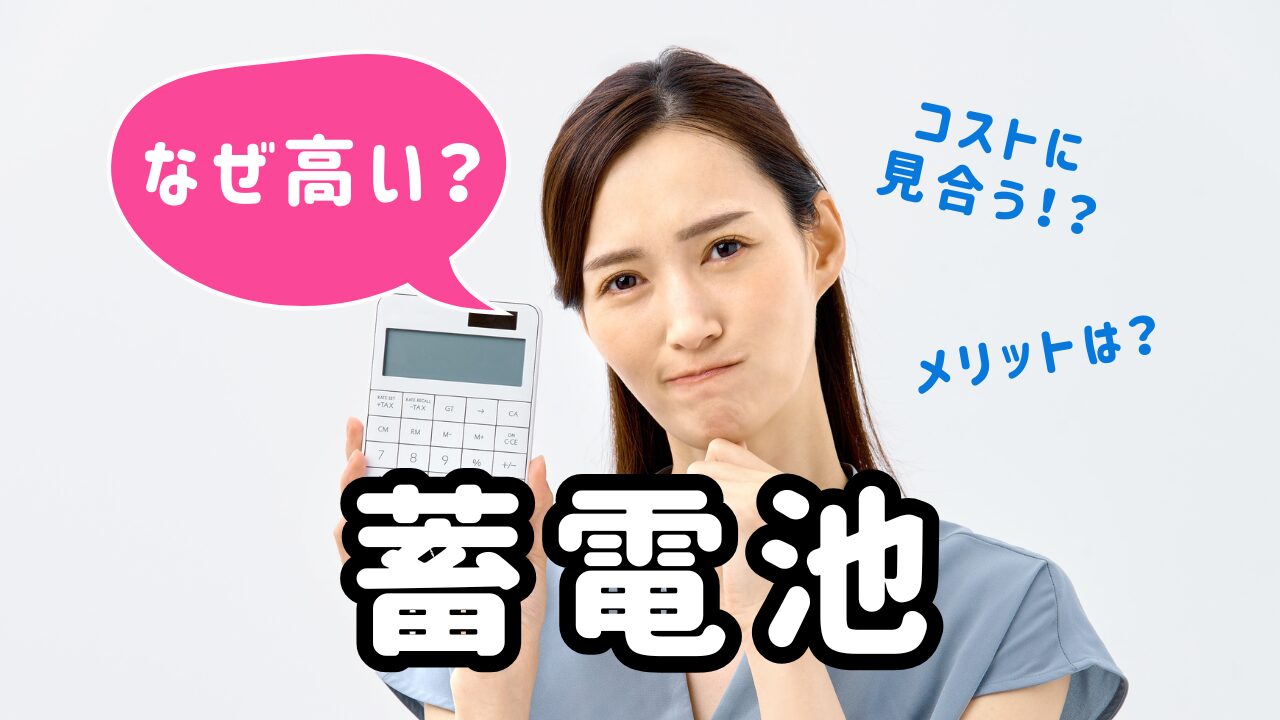 蓄電池　なぜ　高い