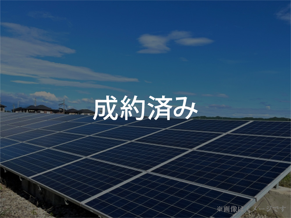 成約済み